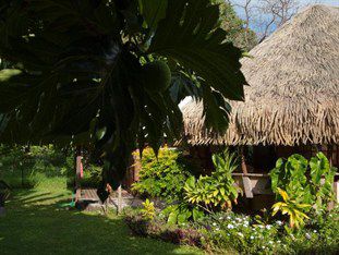 Hotel Fare Aute à Moorea Extérieur photo